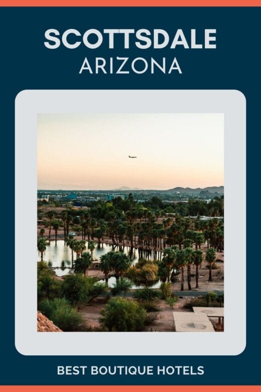 Looking over the desert with palm trees in Scottsdale.