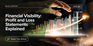Financial Visibility: Profit and Loss Statements Explained