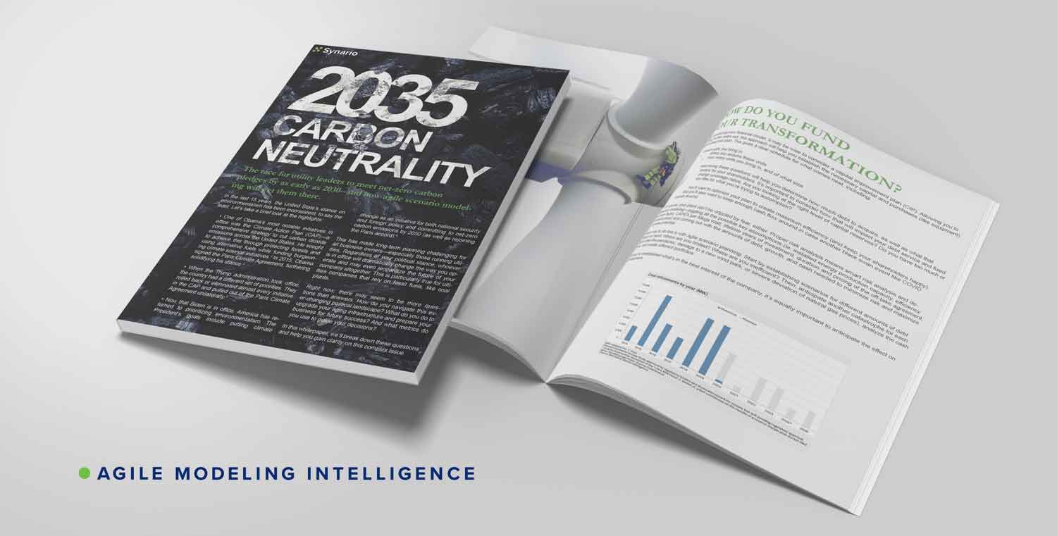 utility carbon neutral whitepaper