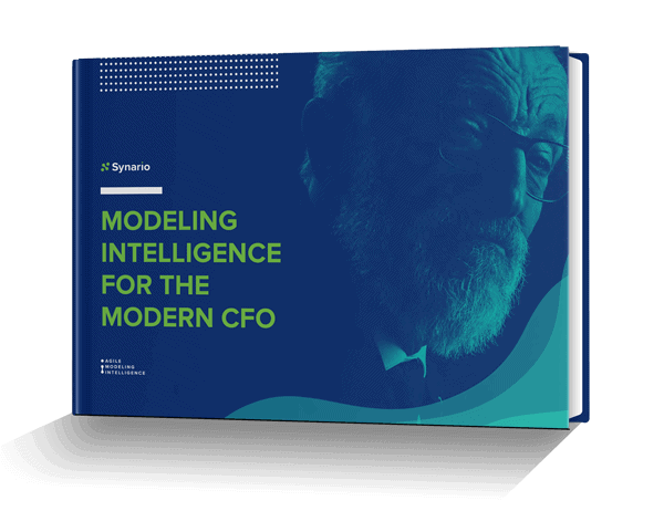 financial modeling ebook
