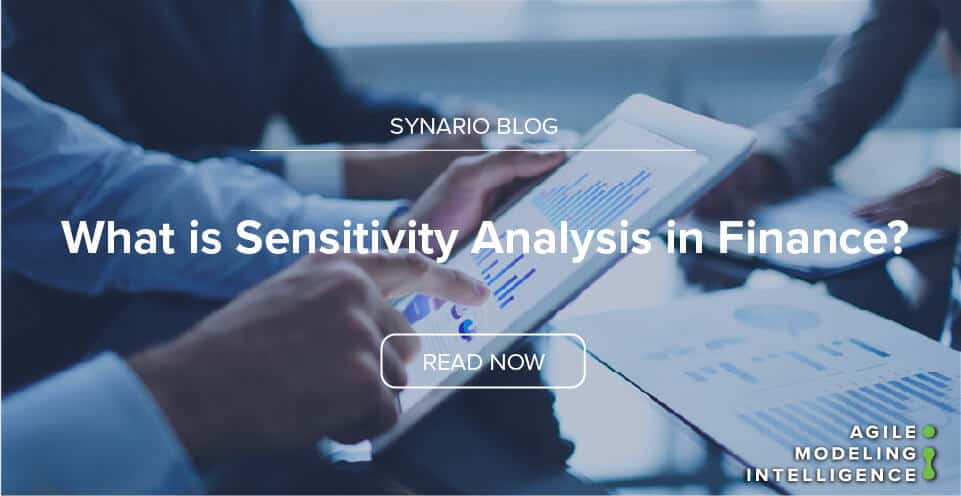 What is Sensitivity Analysis in Finance? | Synario