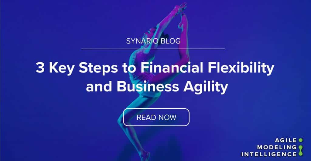 3 Key Steps to Financial Flexibility and Business Agility