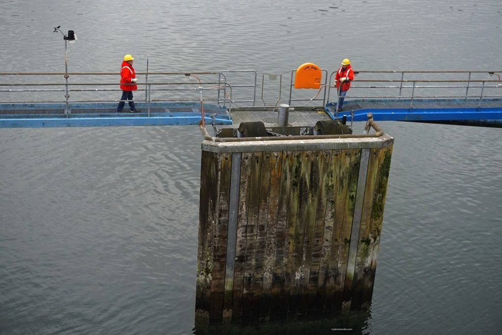 alaska-preparing-to-dock-in-petersburgs-shallow-harbor-in-alaska-photo-of-the-day