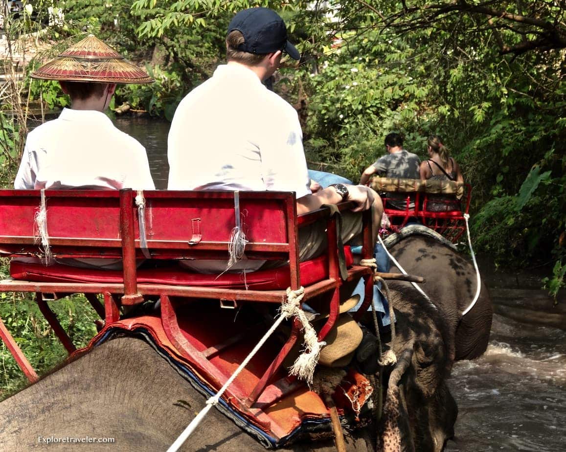 Riding Elephants and support for the elephant reserve