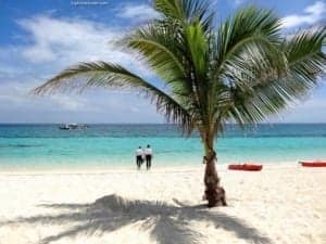 Isla ng Panaon: Southern Leyte, Pilipinas - A beach with a palm tree - Panaon Island