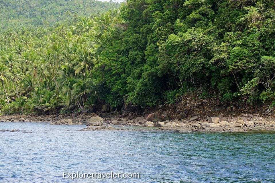 Isla ng Panaon: Southern Leyte, Pilipinas - A tree next to a body of water - Hinunangan