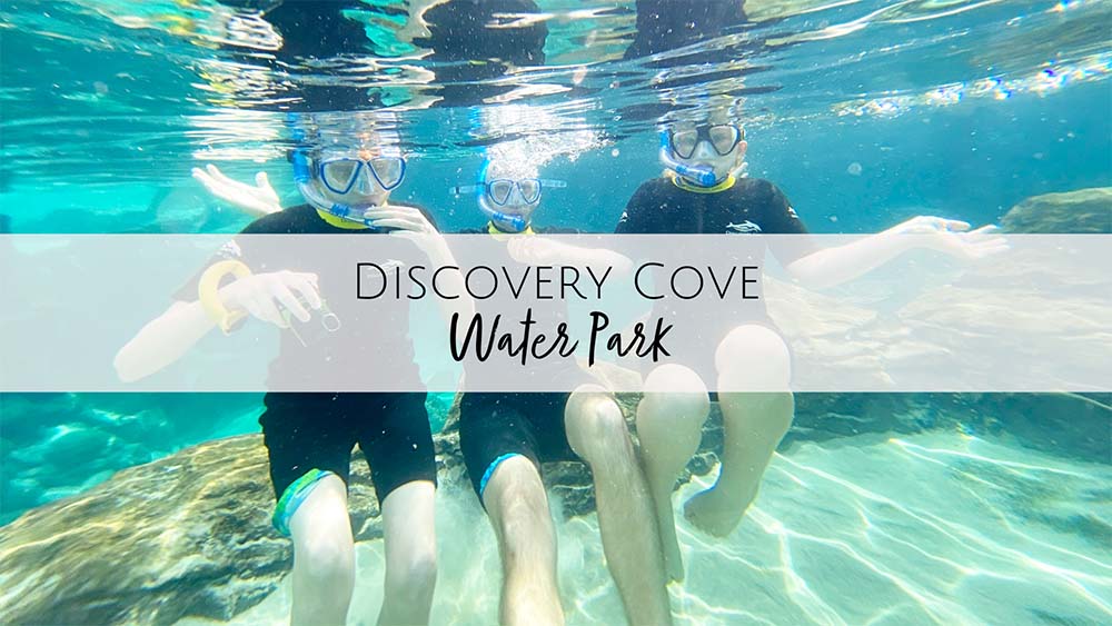 Discover Cove Water Park in Orlando, FL