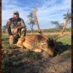 Fallow Deer Hunting South Africa - Hunt Fallow Deer in the East Cape 24 Fallow deer fair chase hunting with Nick Bowker.