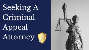Seeking a criminal appeal attorney.