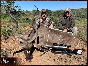 African Kudu hunt