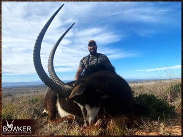 African safari sable antelope hunt with Nick Bowker