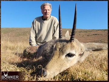 Grey Rhebok trophy hunted in the Eastern Cape South Africa.