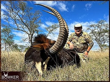 Trophy Hunting South Africa 91 Sable antelope African hunt with Nick Bowker