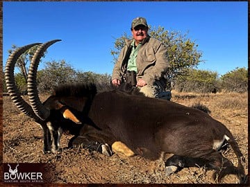 Trophy Hunting South Africa 69 Sable Antelope hunting in Africa.