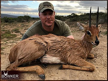 Steenbok trophy hunted in the Eastern Cape South Africa. Steenbok trophy hunted in the Eastern Cape South Africa.