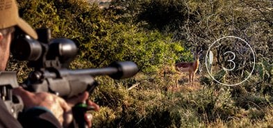 Hunting with three-legged shooting sticks is universal in Africa. 