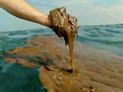 Deepwater Horizon Gulf oil spill