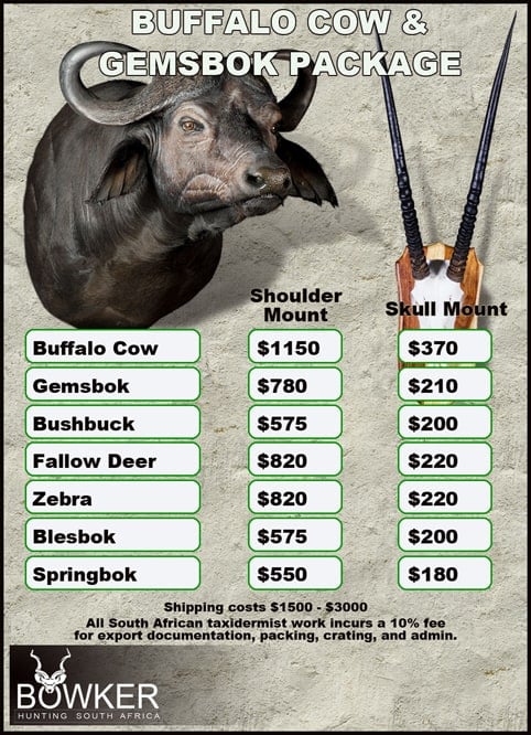 Taxidermy cost for Cape Buffalo cow and Gemsbok package.