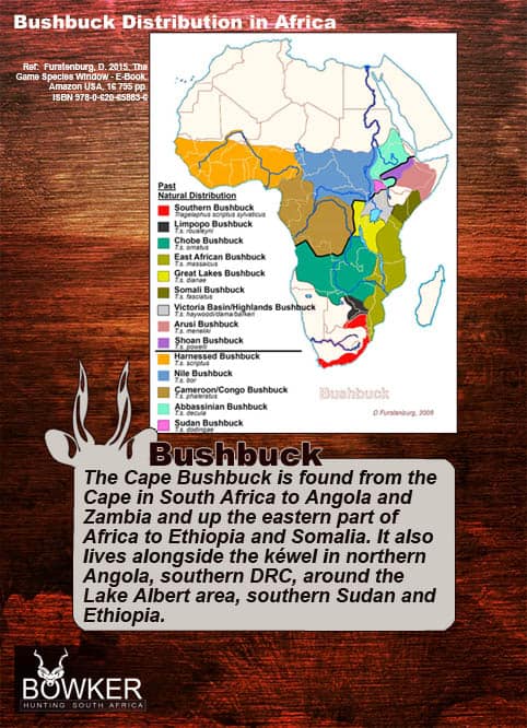 Bushbuck distribution across Africa.
