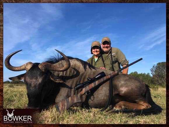 Blue Wildebeest hunting - trophy shot in the Eastern Cape South Africa Blue Wildebeest hunting.