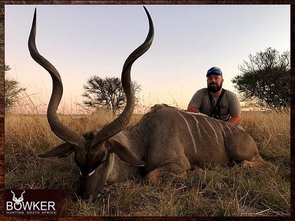 Hunting big kudu in the Eastern Cape safari style.