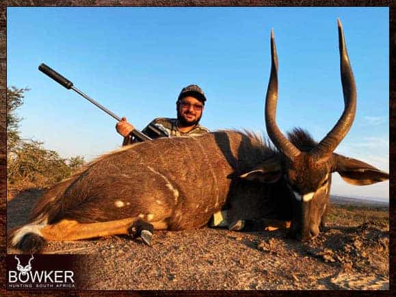 Nyala - Big Game Africa hunt package