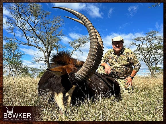 Sable hunt in Africa with Nick Bowker.