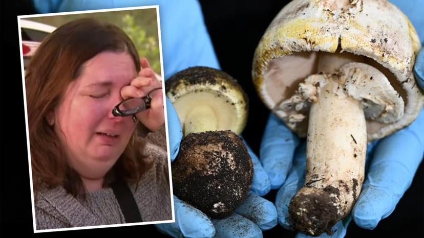 asteroid sleuth - mushroom murders