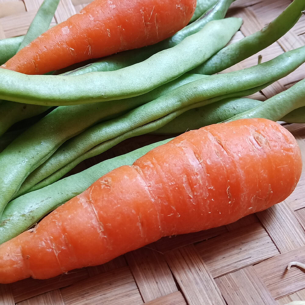 Fighting obesity with intermittent fasting