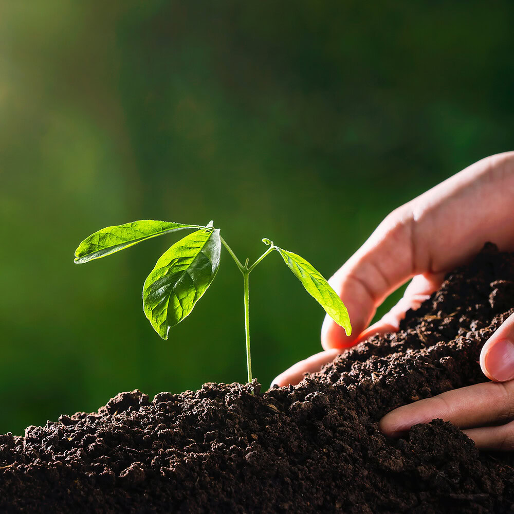 How to eat to save our soils