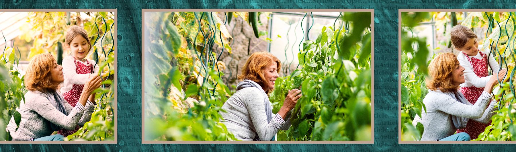 Study finds gardening has better emotional benefits for women and people on low incomes