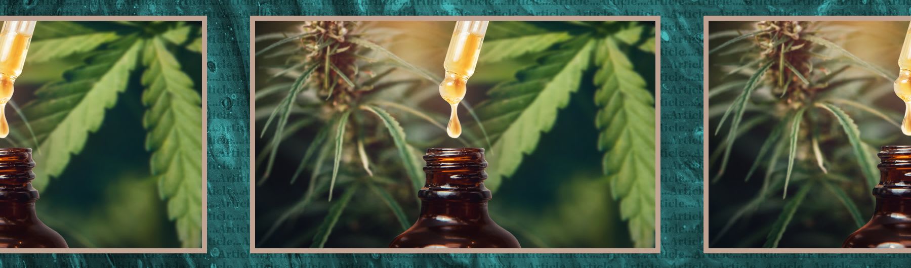 What is CBD? Uses, regulation and side effects