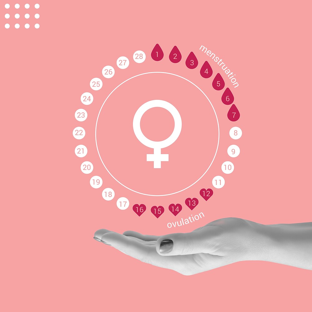 The menstrual cycle: A seasonal guide