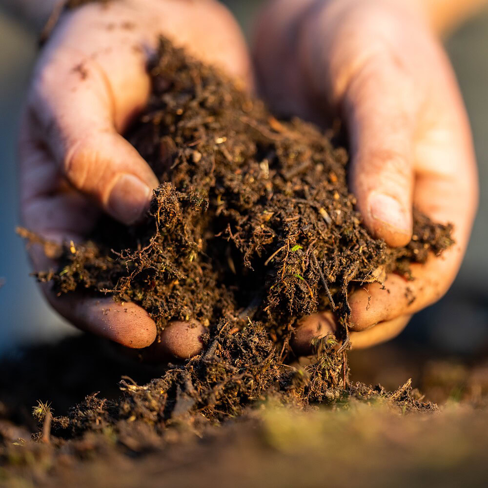 Why organic matters but isn’t everything