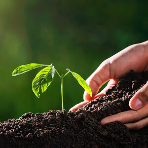 How to eat to save our soils