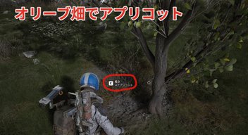 ARC Raiders】アイテム：レモンとアプリコットの入手方法について