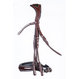 Double bridles store