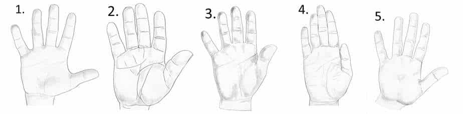 Hand Shape - Which One Matches Yours? - Destiny Palmistry