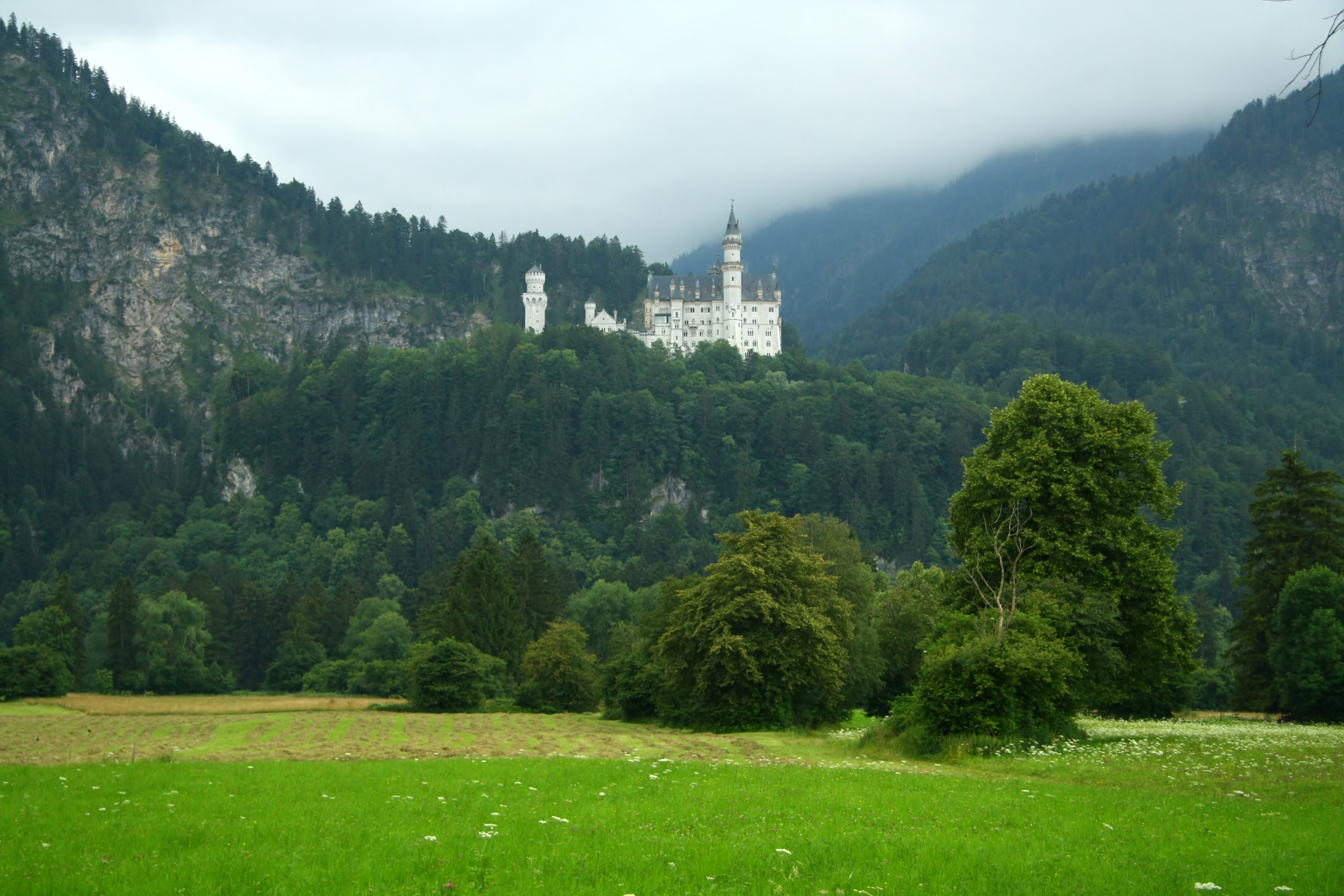 Food in Germany: 8 questions with a German chef