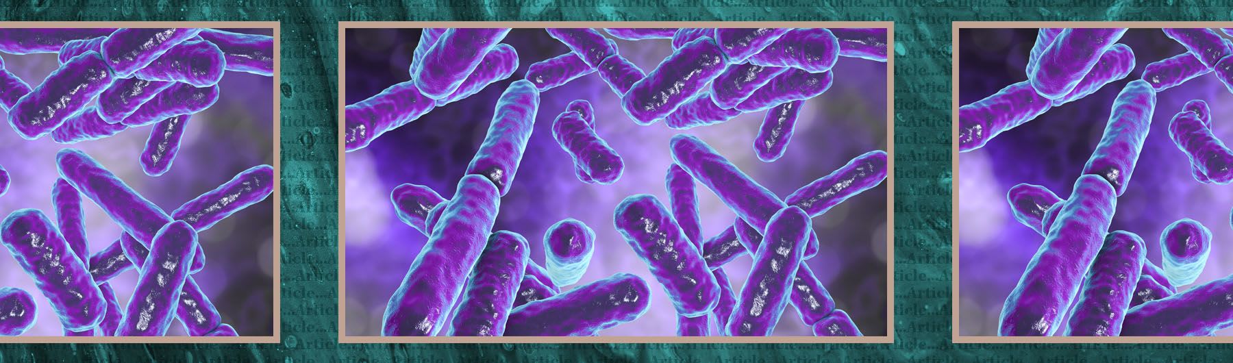 Make-up of gut microbiome may influence COVID-19 severity