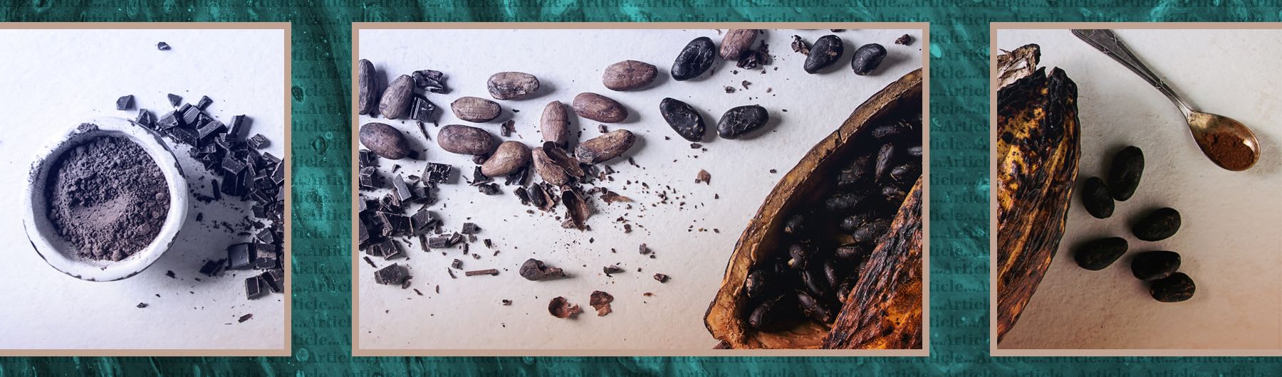 Cocoa benefits for MS-associated fatigue