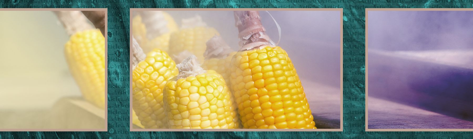 Food anticipation primes the liver to take up nutrients