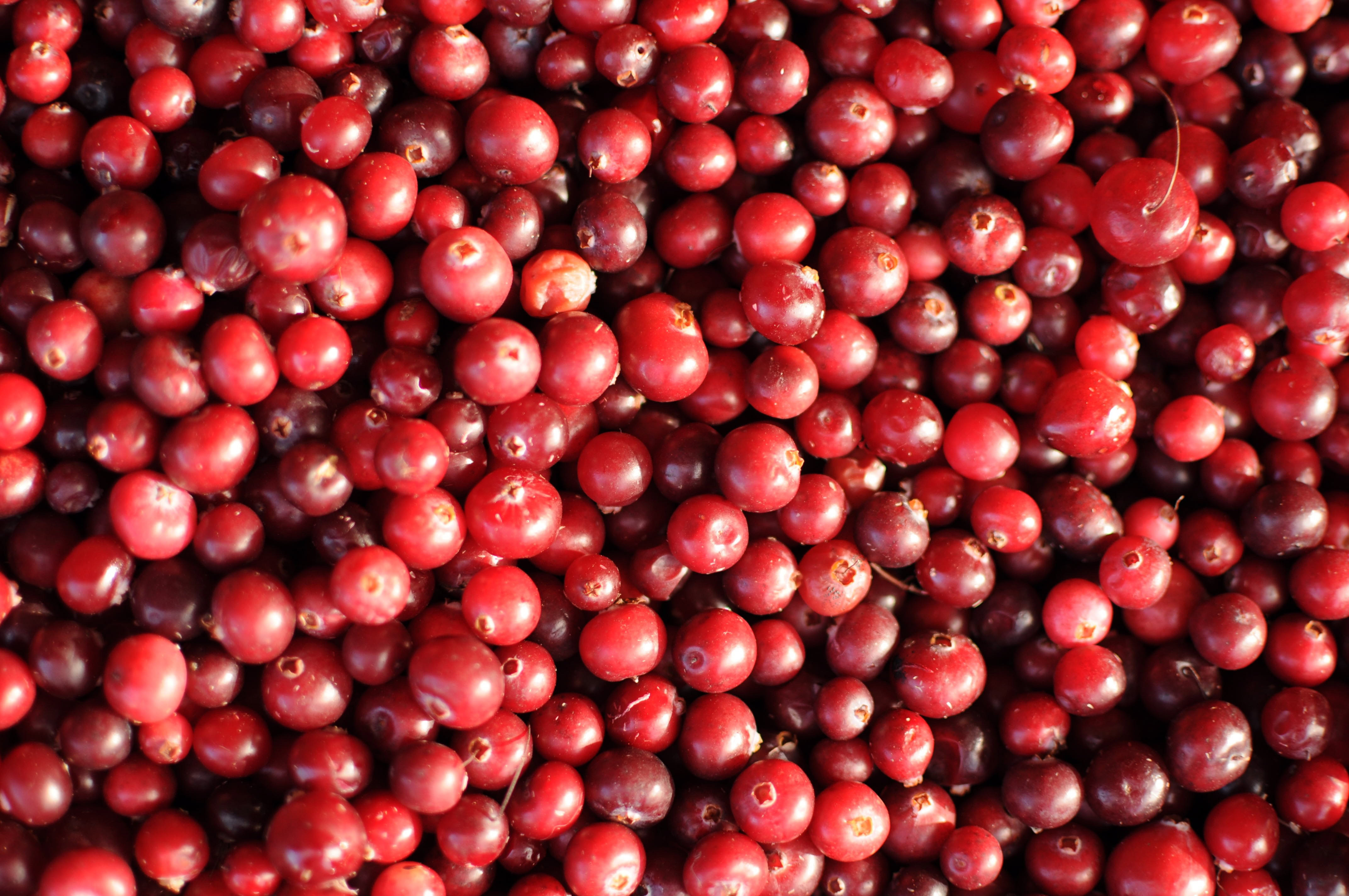7 reasons to love cranberries