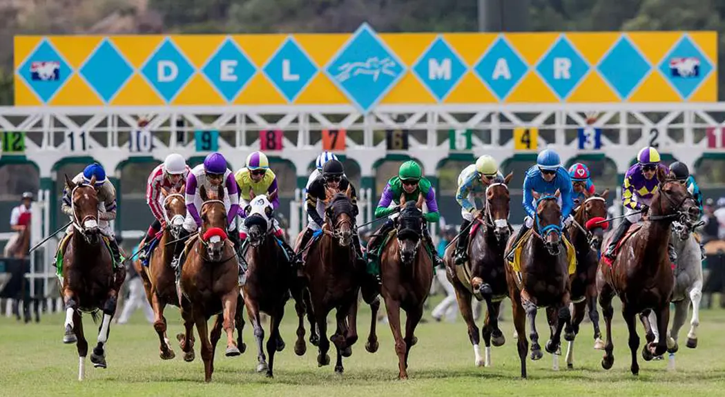 Horses running on Del Mar race track.