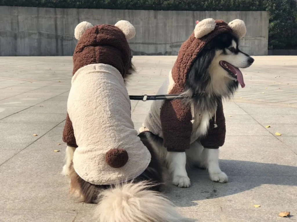 Dog eevee costume shop