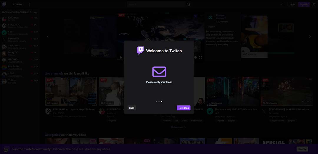 A picture of the Twitch email verification process