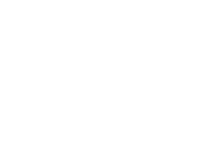 wandering bear logo in white