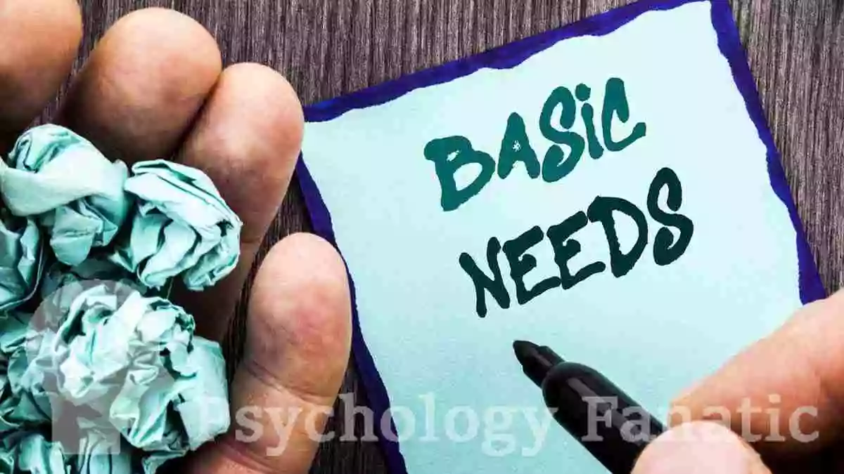 Basic Needs. Psychology Fanatic article feature image
