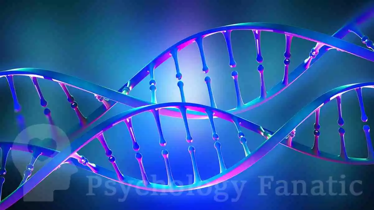 Epigenetics. Psychology Fanatic feature image