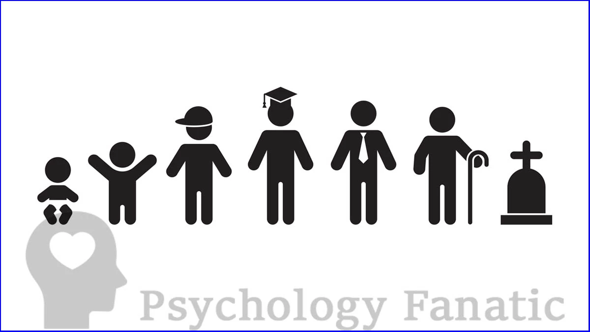 Developmental Theories. Psychology Fanatic Feature Image